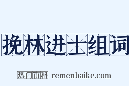 挽林进士组词是什么意思的图片
